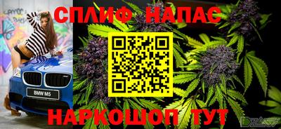 стаф Ставрополь