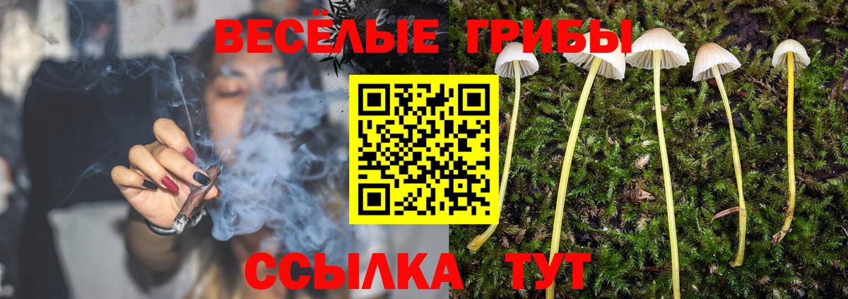 Галлюциногенные грибы Psilocybe  Вход с VPN  Новотроицк 